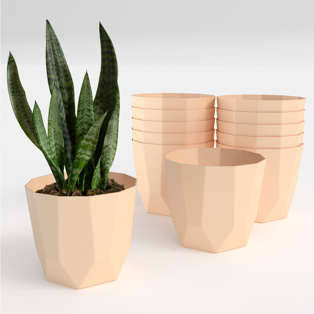 SHERA | HEXA PLANTER