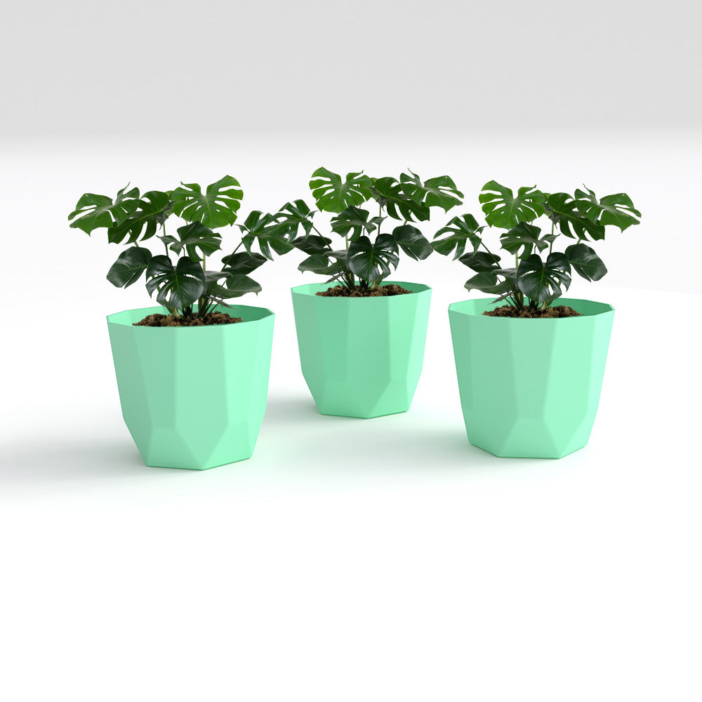 SHERA | HEXA PLANTER