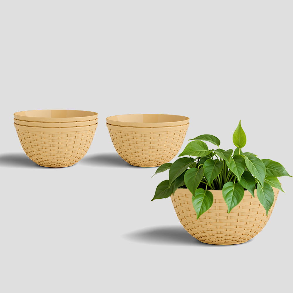 SHERA | CHICK KTR PLANTER