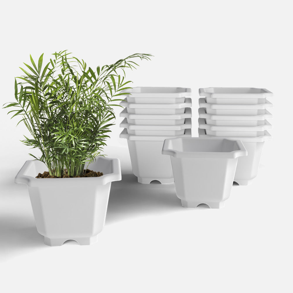 SHERA | OCTA PLANTER SET OF 12