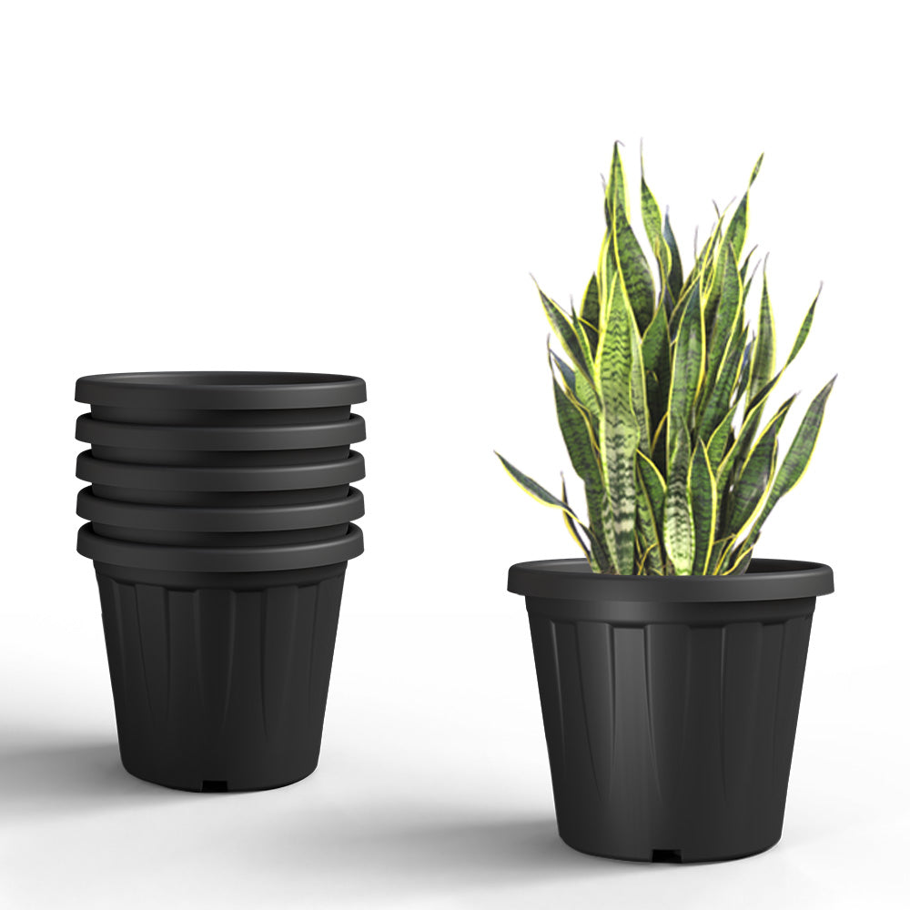 SHERA | CROWN PLANTER