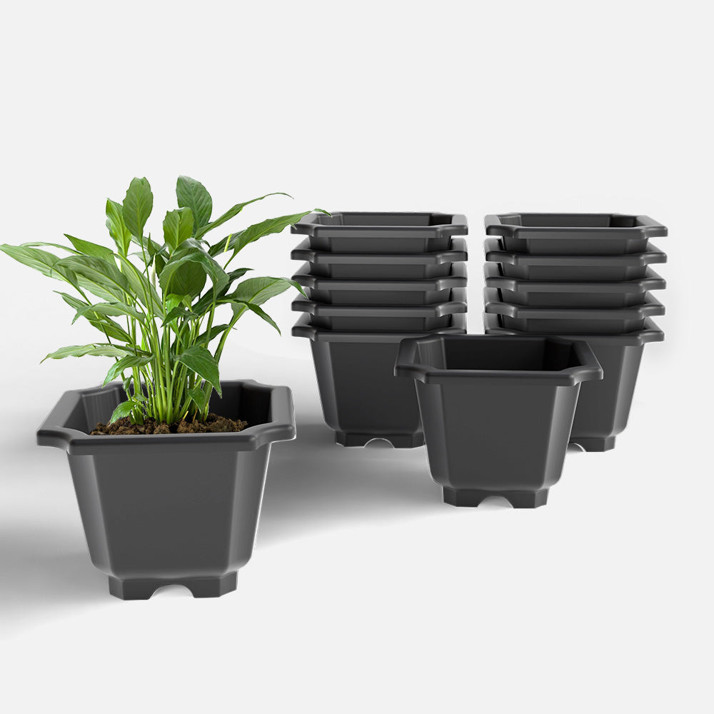 SHERA | OCTA PLANTER SET OF 12