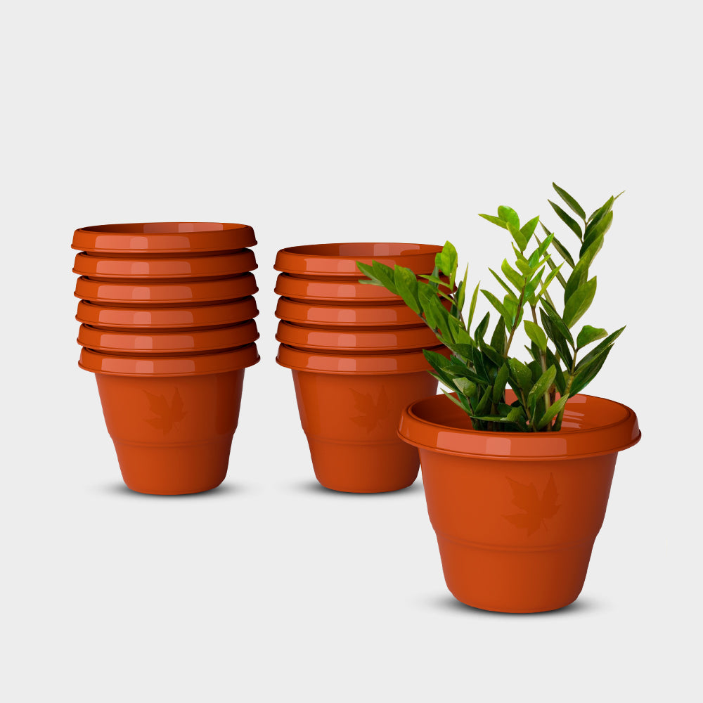 SHERA | RD PLANTER