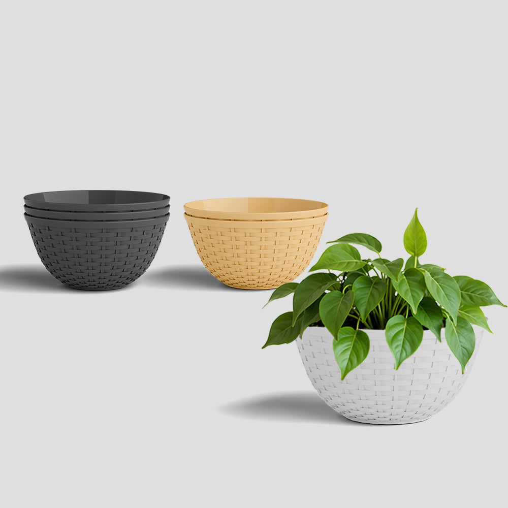 SHERA | CHICK KTR PLANTER