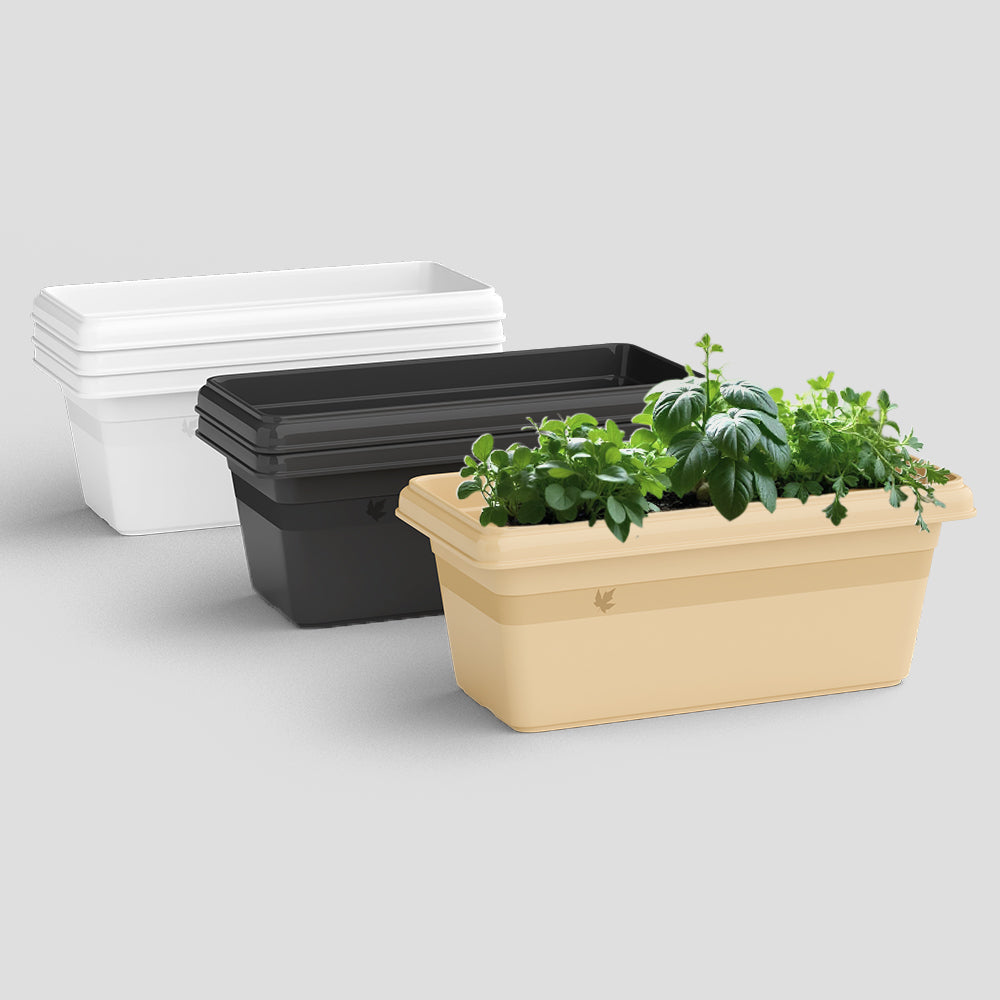 SHERA | TP PLANTER