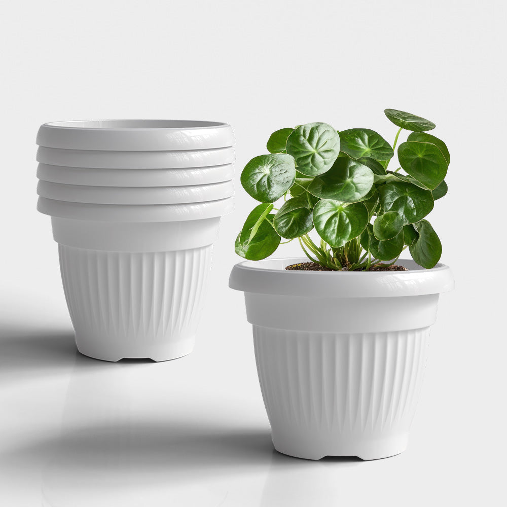 SHERA | BLOOM PLANTER