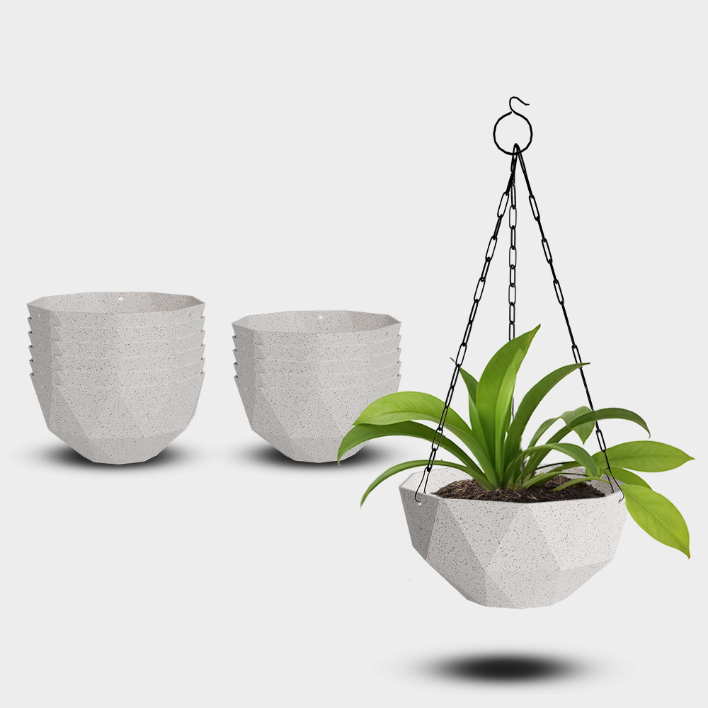 SHERA | DMD KTR BIO HANGING