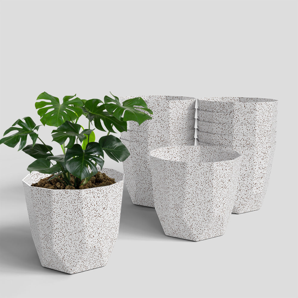 SHERA | HEXA BIO PLANTER