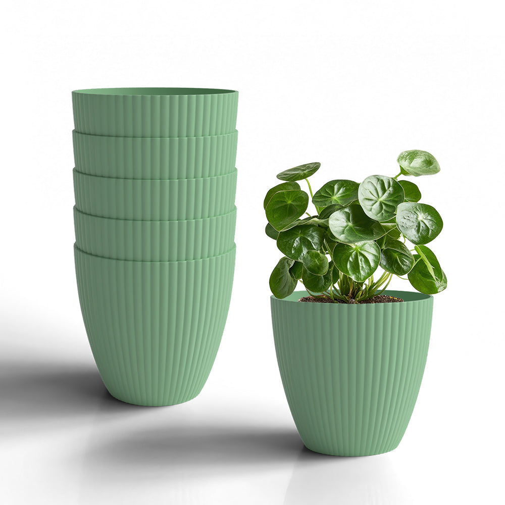 SHERA | LOTUS PLANTER