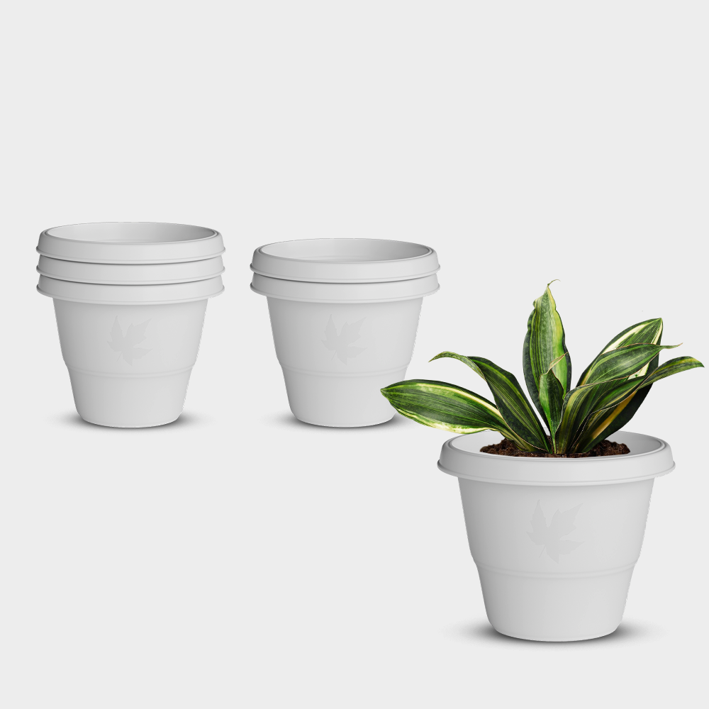 SHERA | RD PLANTER