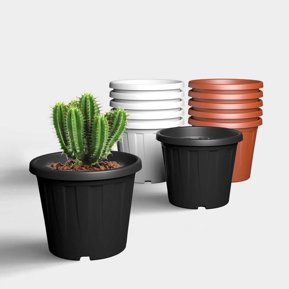 SHERA | CROWN PLANTER