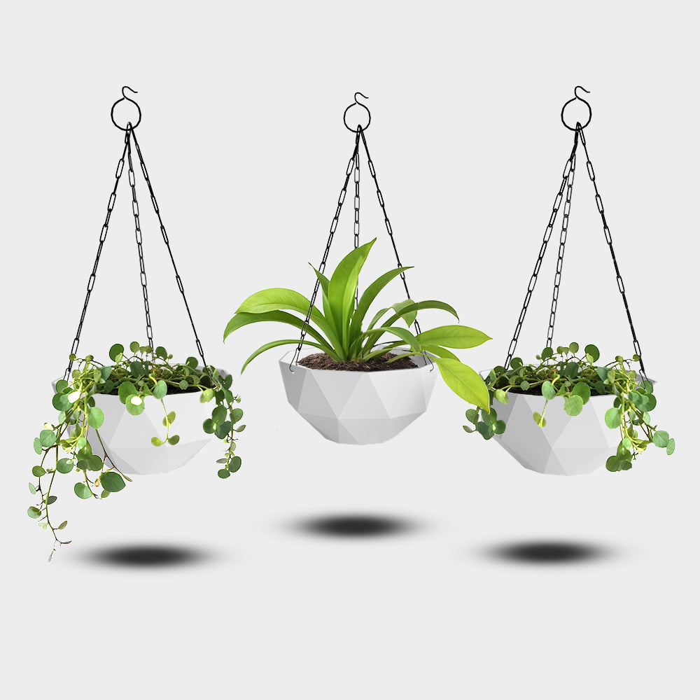 SHERA | DMD KTR HANGING