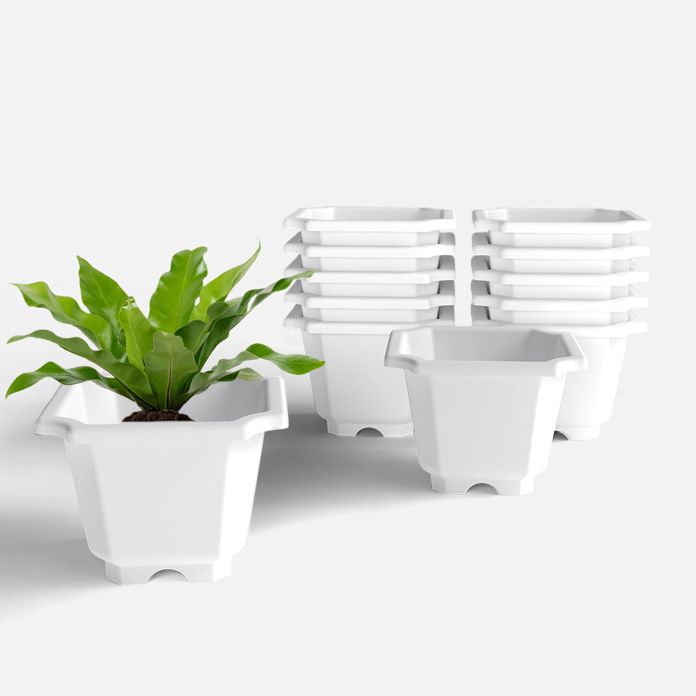SHERA | OCTA PLANTER SET OF 12