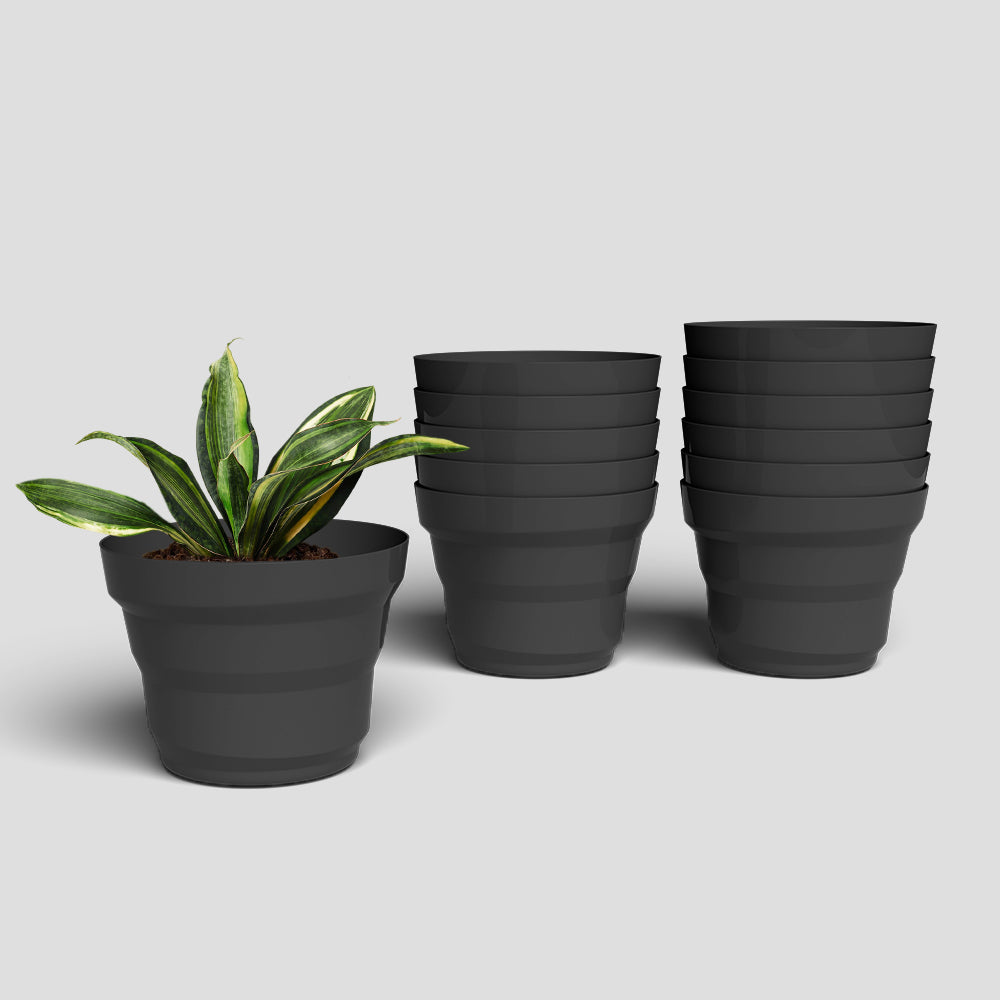 SHERA | RING PLANTER