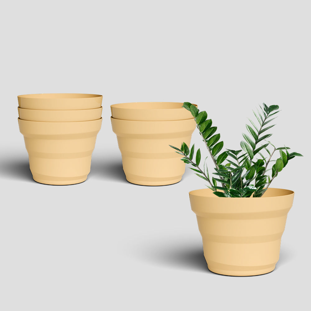 SHERA | RING PLANTER