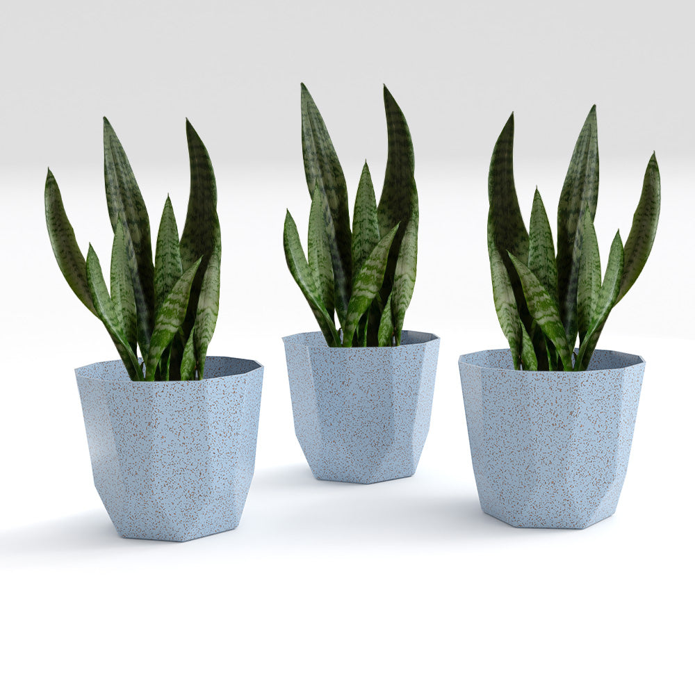 SHERA | HEXA BIO PLANTER