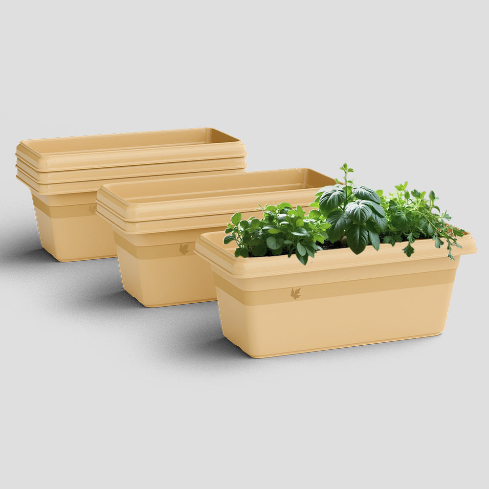 SHERA | TP PLANTER