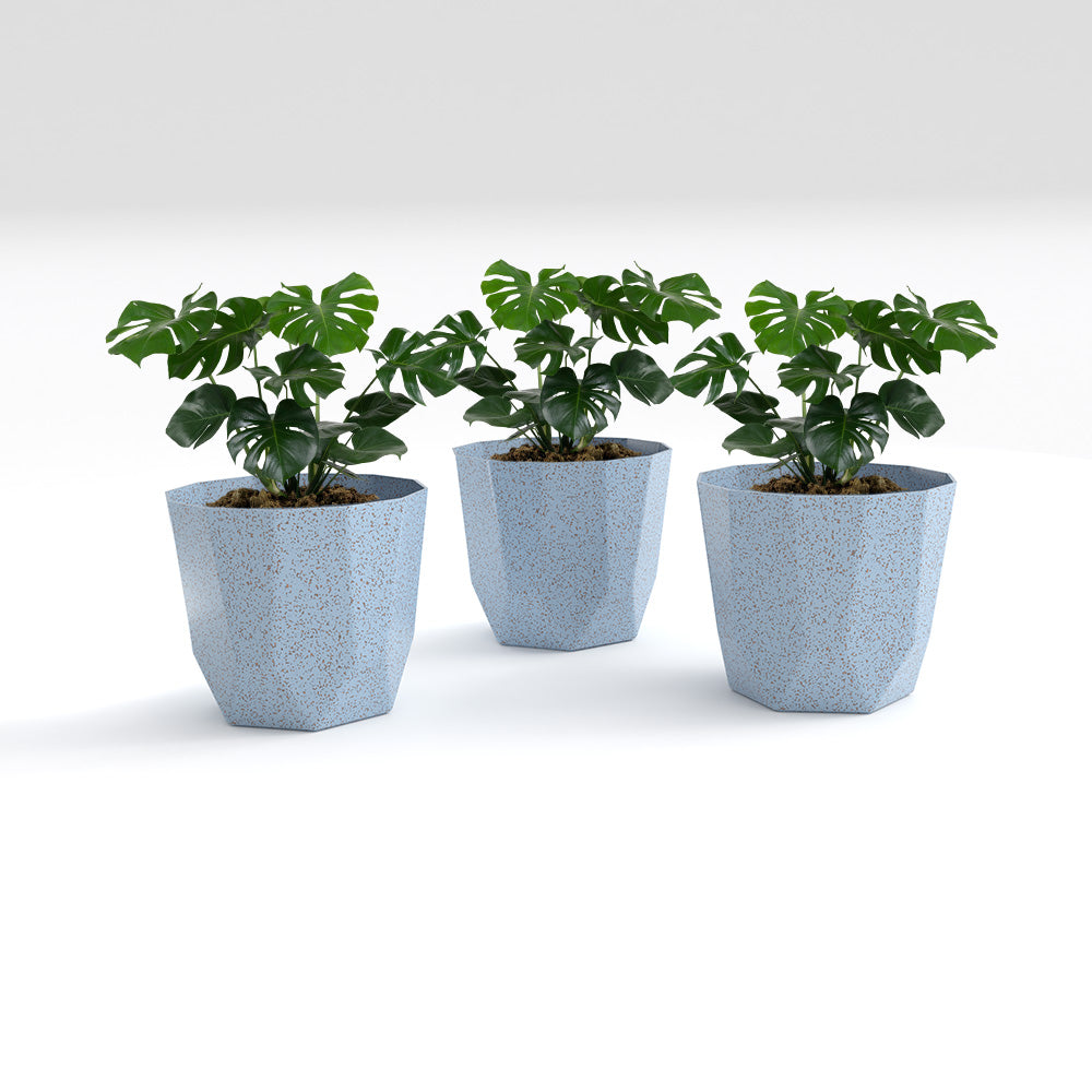 SHERA | HEXA BIO PLANTER