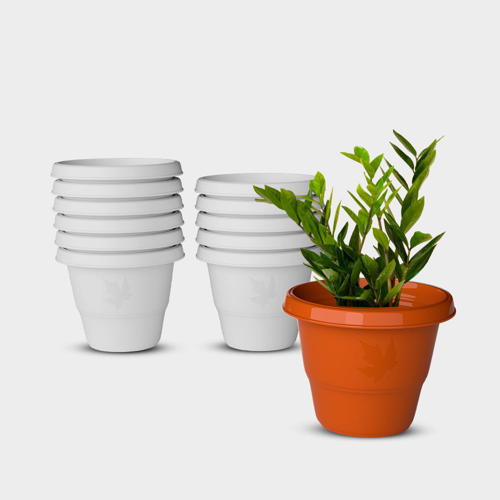 SHERA | RD PLANTER