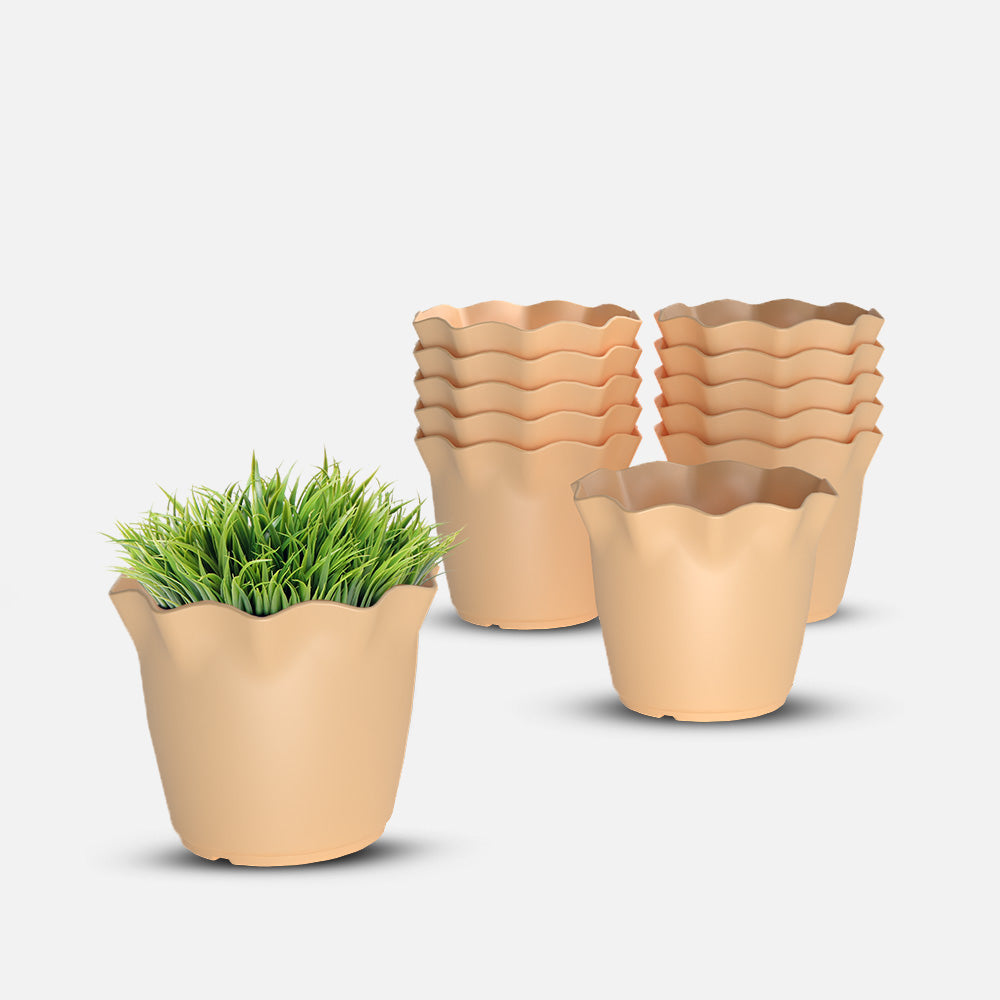 SHERA | FLOWER PLANTER