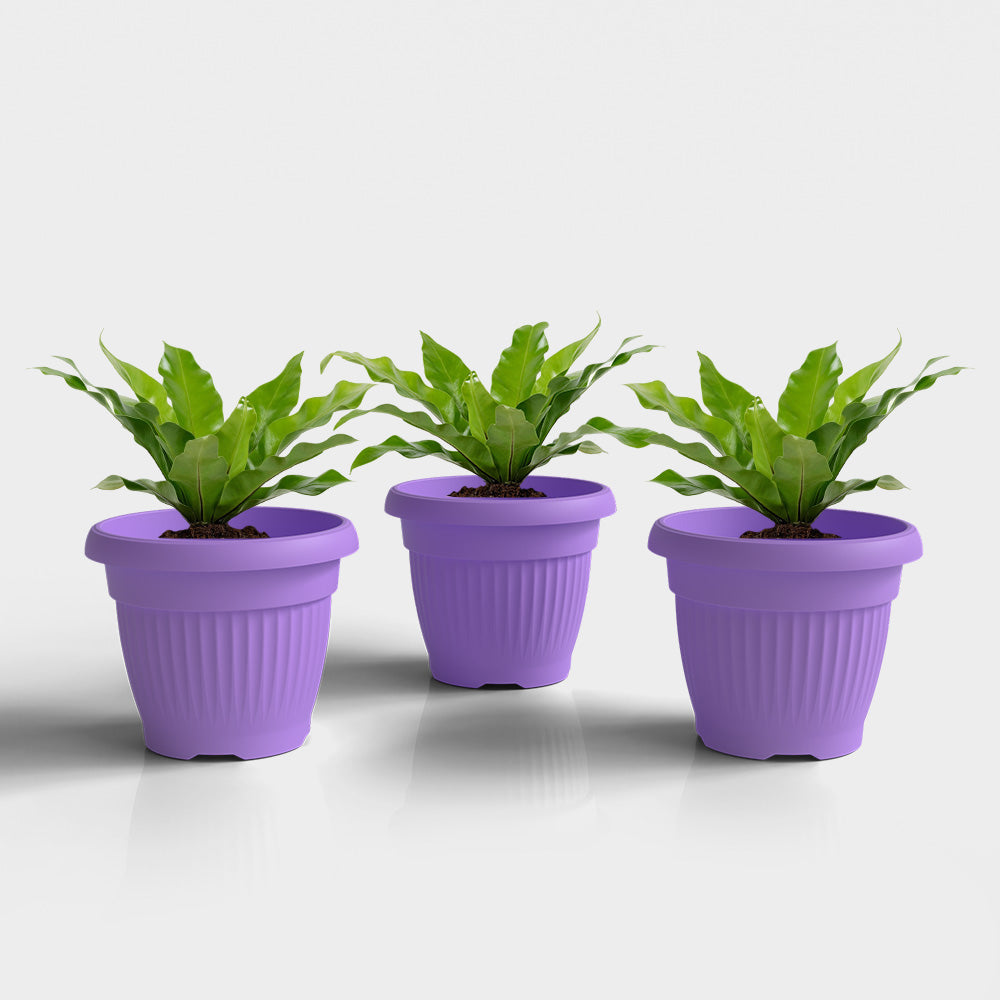 SHERA | BLOOM PLANTER