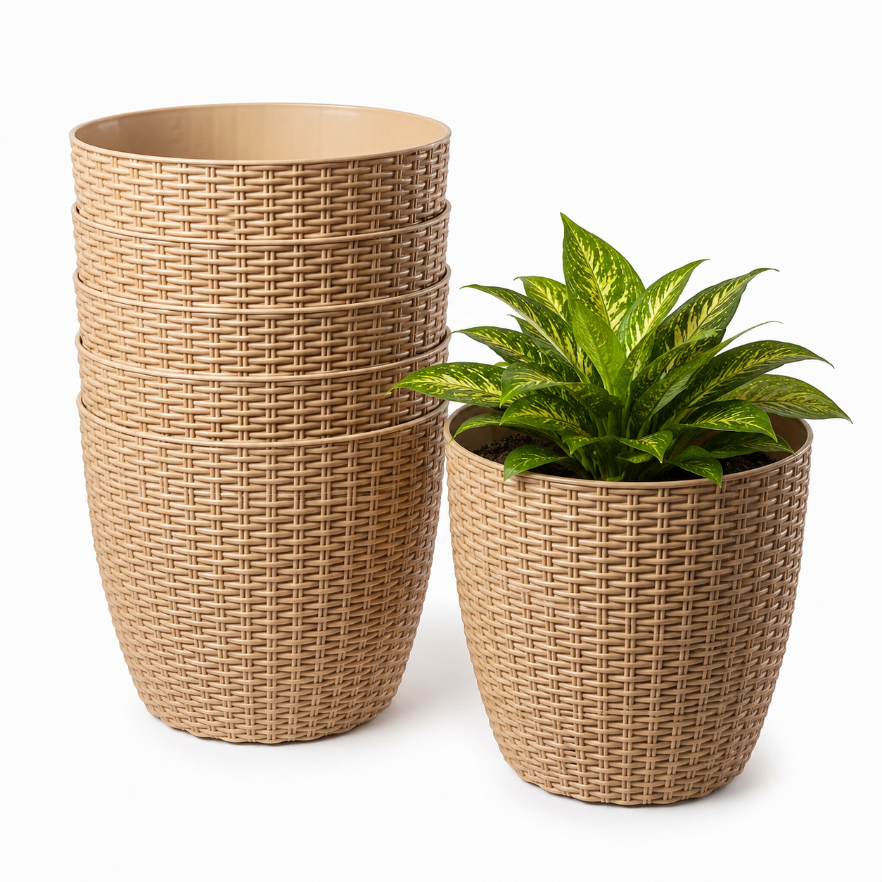 SHERA | STELLA R PLANTER