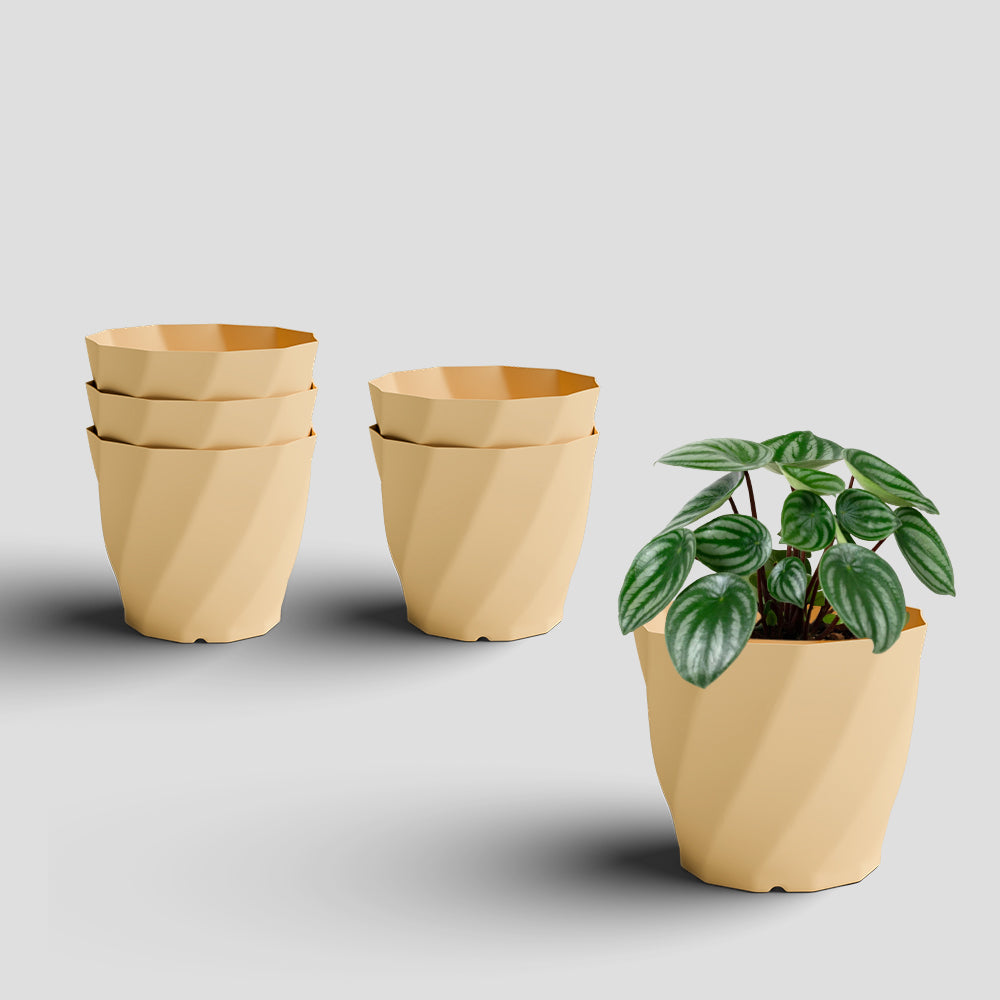SHERA | SWIRL PLANTER