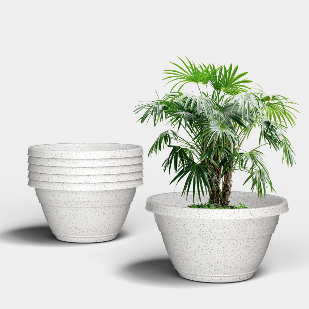 SHERA | BOTANICA BONSAI KTR PLANTER