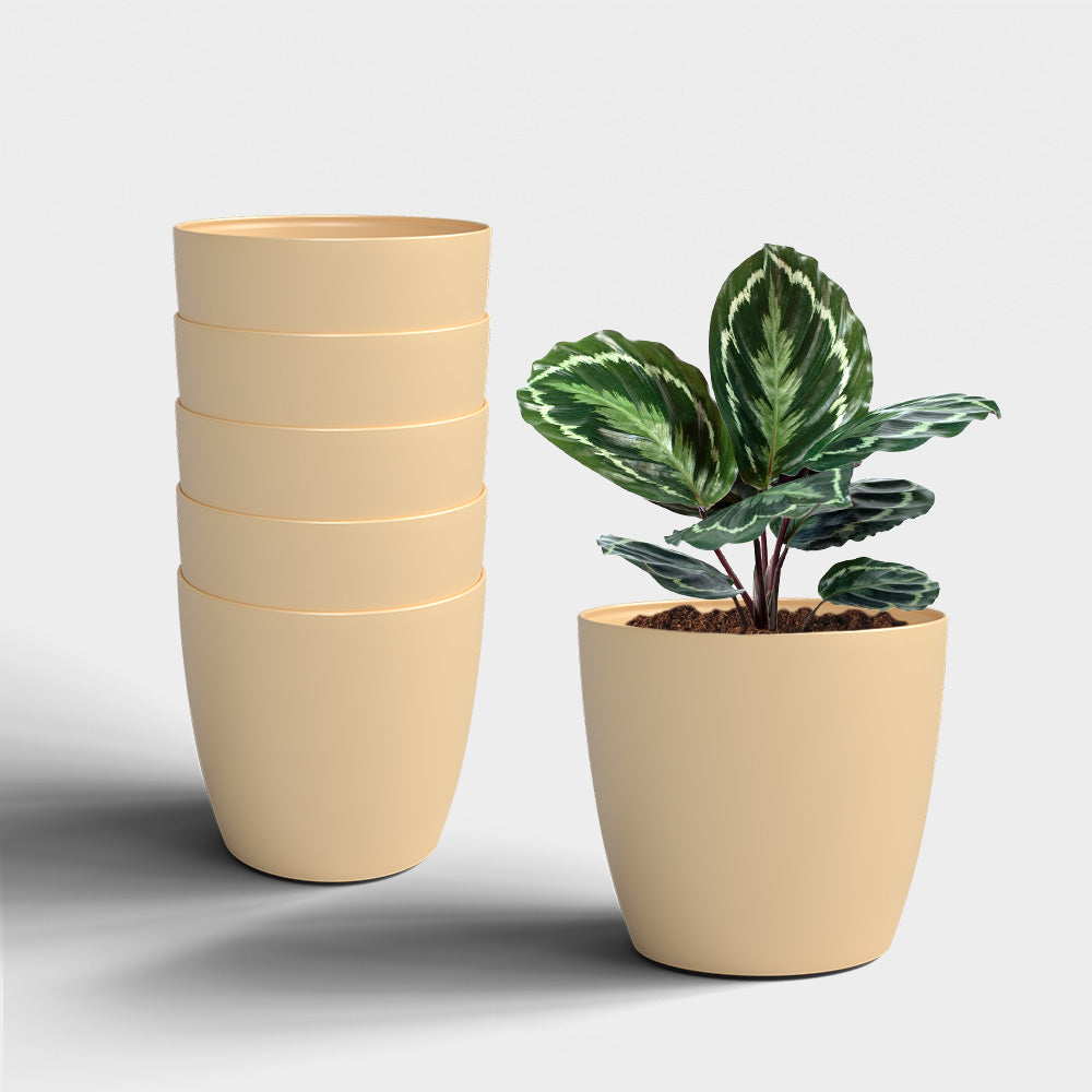 SHERA | STELLA PLANTER