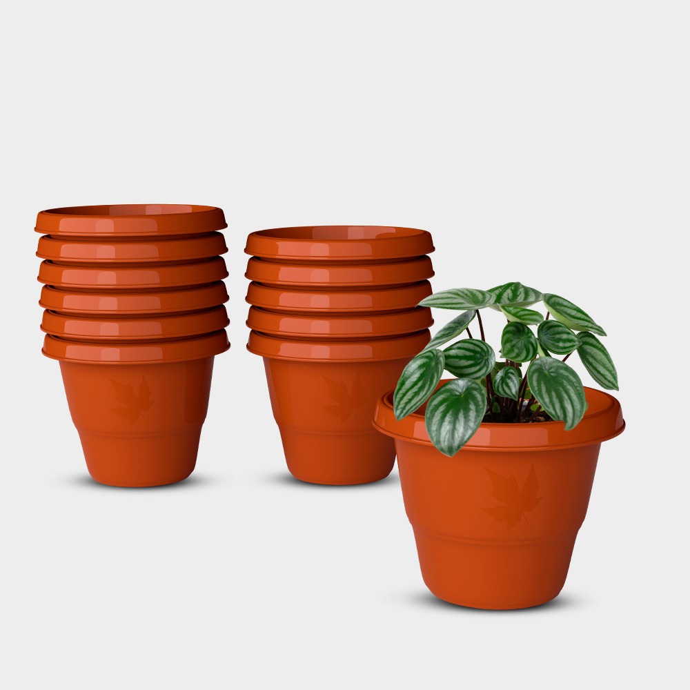 SHERA | RD PLANTER
