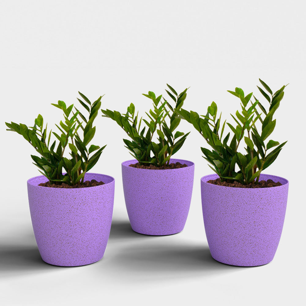 SHERA | STELLA BIO PLANTER