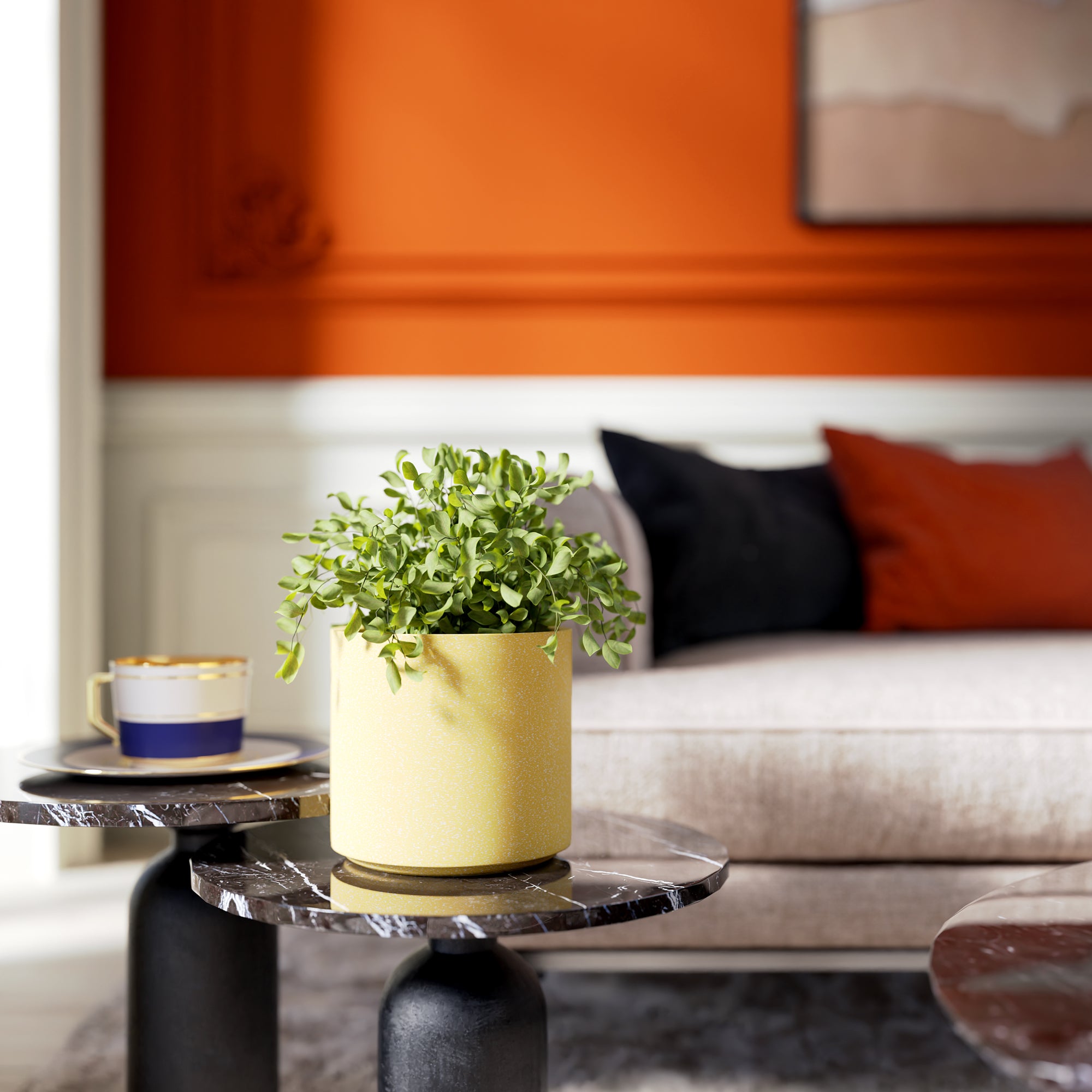 FOX B | CILIN PLANTER