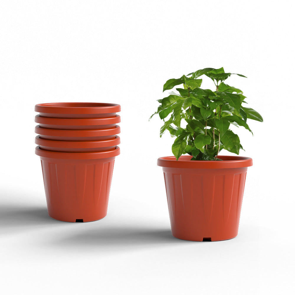 SHERA | CROWN PLANTER