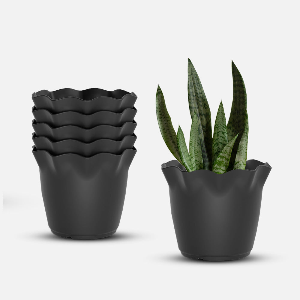 SHERA | FLOWER PLANTER