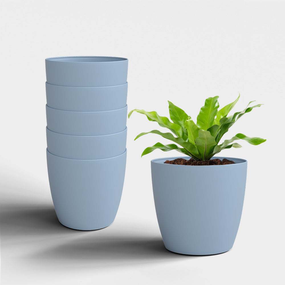 SHERA | STELLA PLANTER
