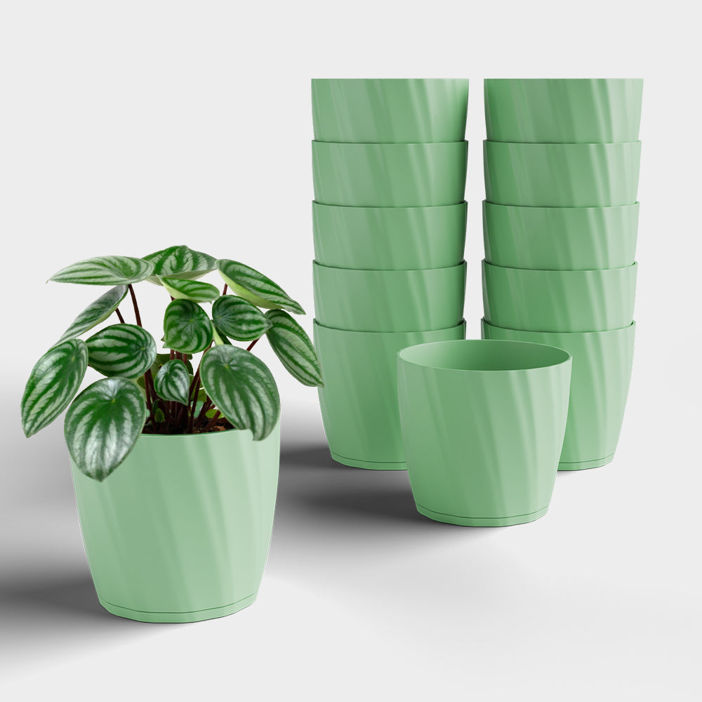 SHERA | ZINNIA PLANTER