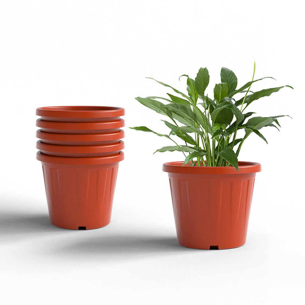 SHERA | CROWN PLANTER