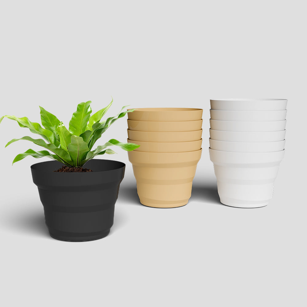 SHERA | RING PLANTER