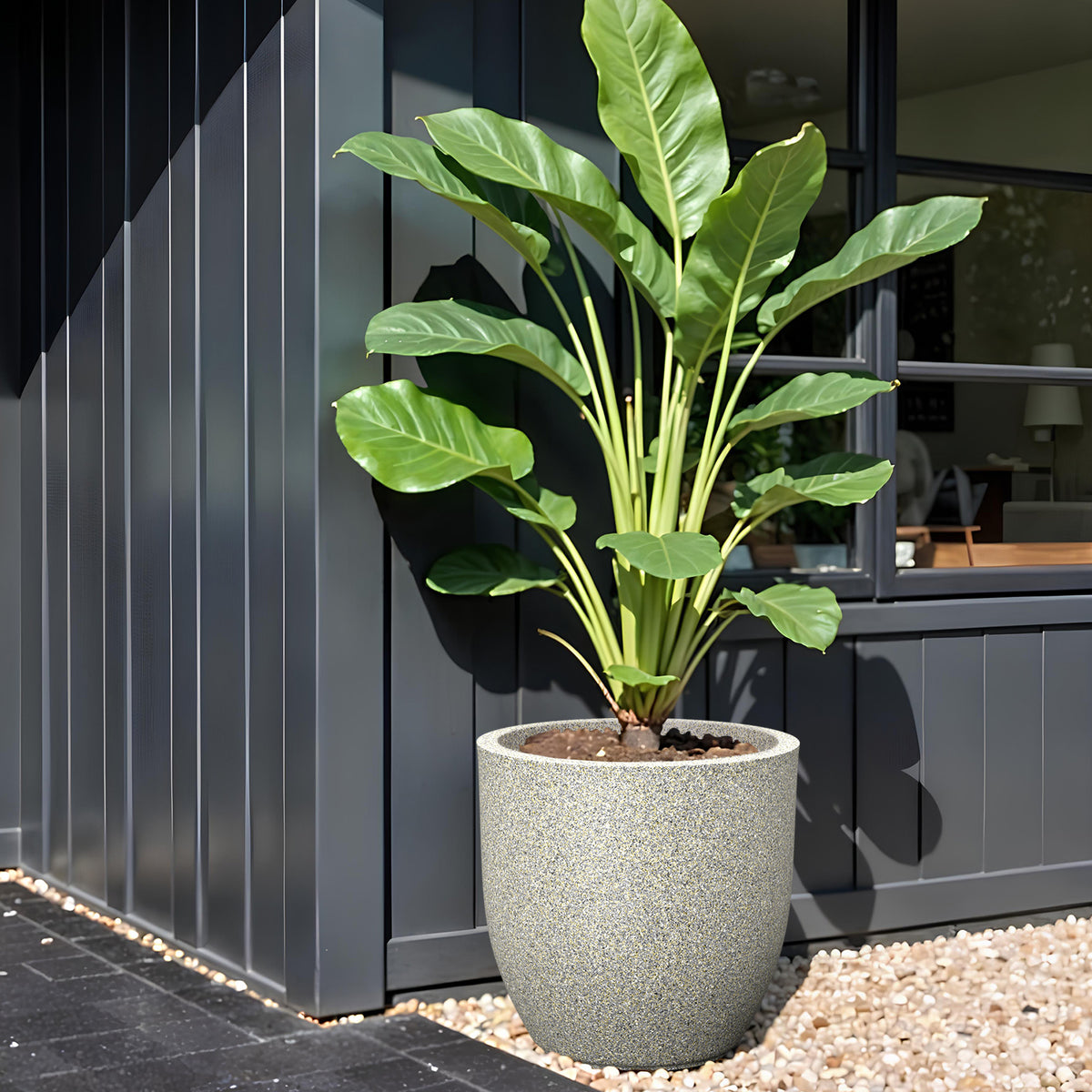 FOX B | P CUP PLANTER 17 INCH TO 40 INCH