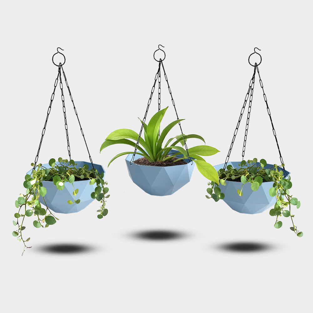 SHERA | DMD KTR HANGING