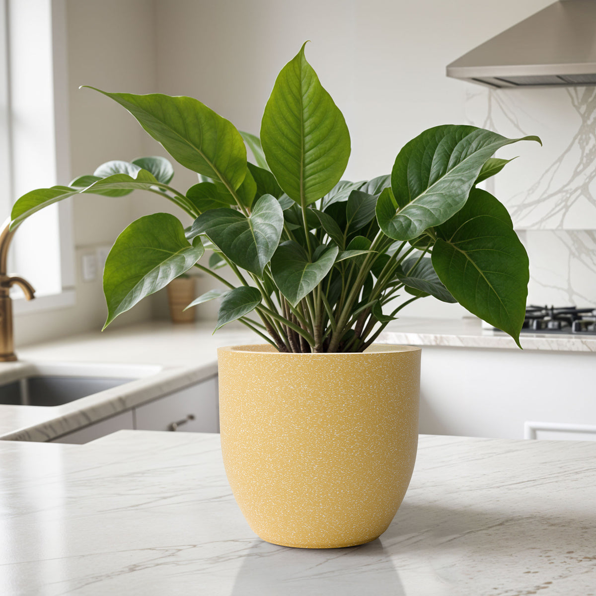 FOX B | P CUP PLANTER 6 INCH TO 15 INCH