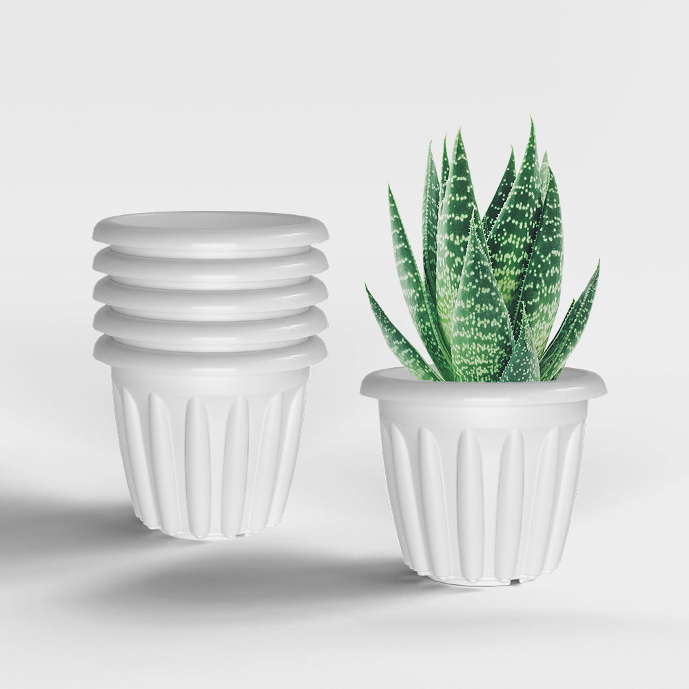 SHERA | FLOOT PLANTER