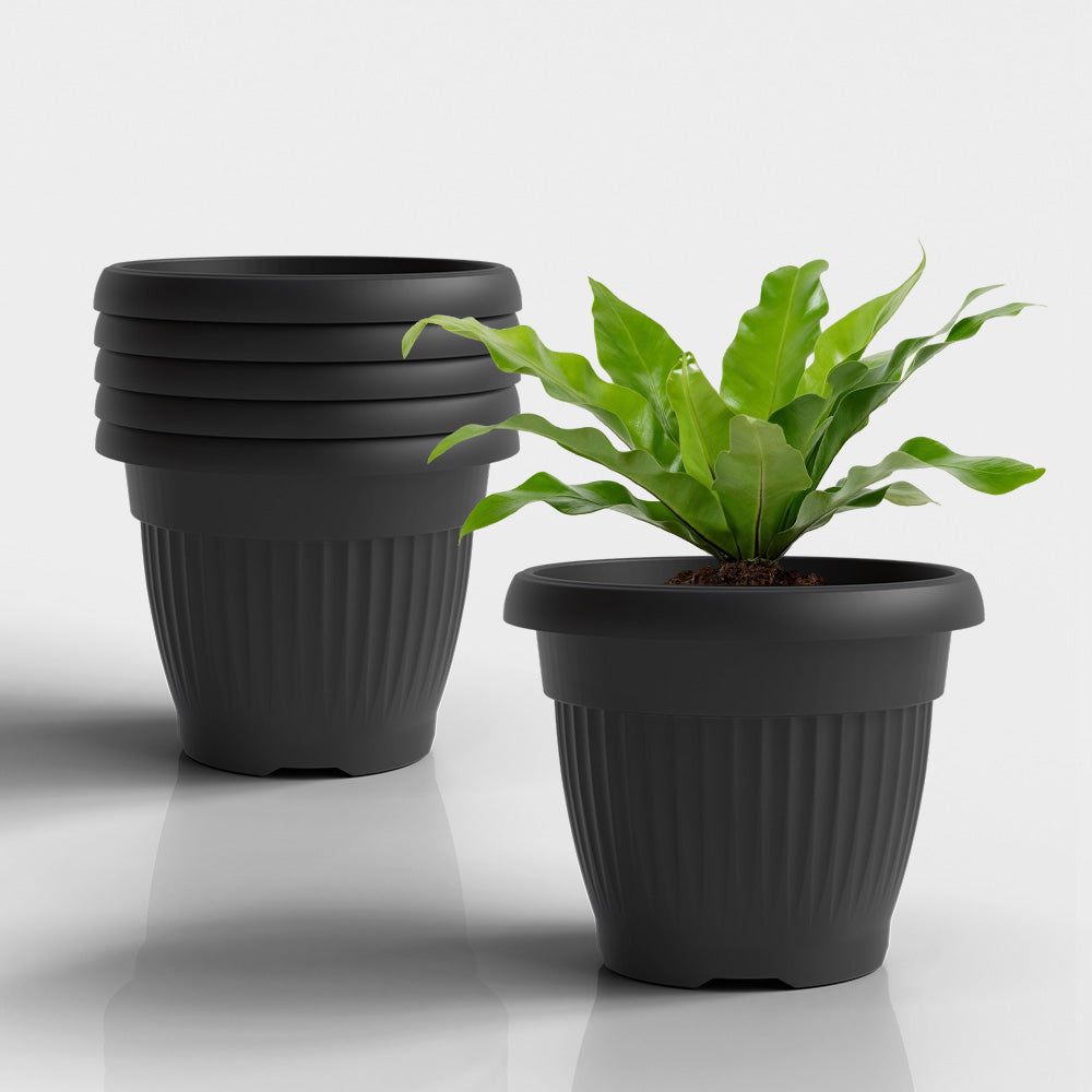 SHERA | BLOOM PLANTER