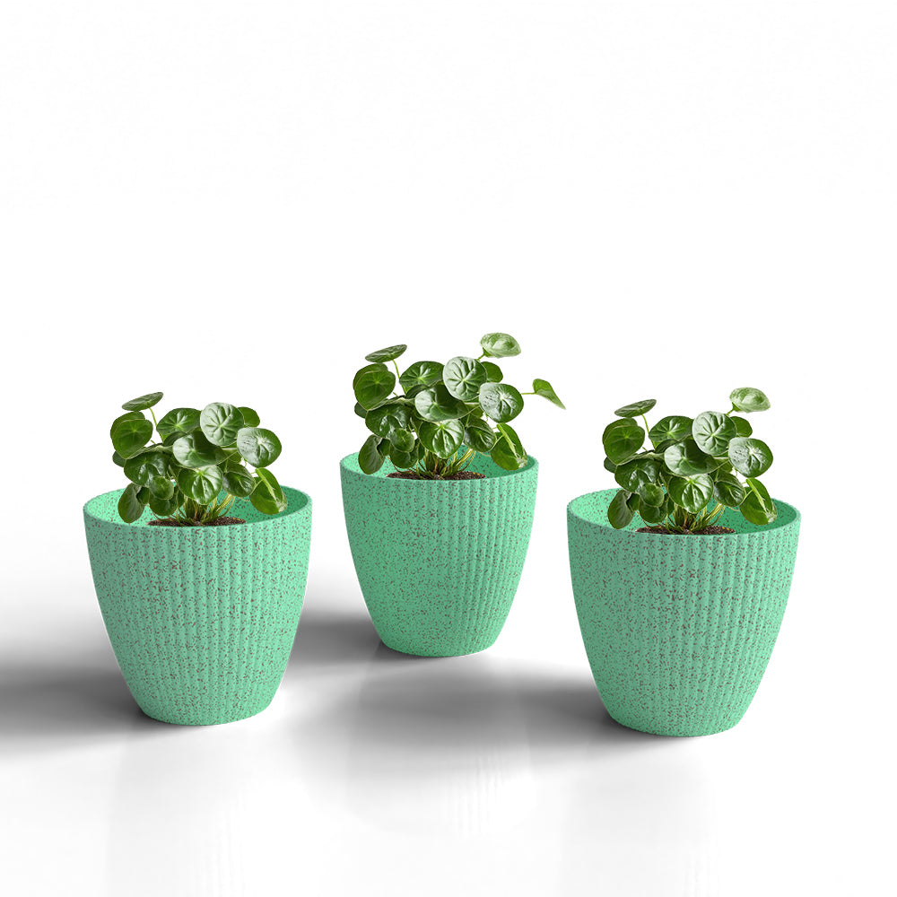 SHERA | LOTUS BIO PLANTER