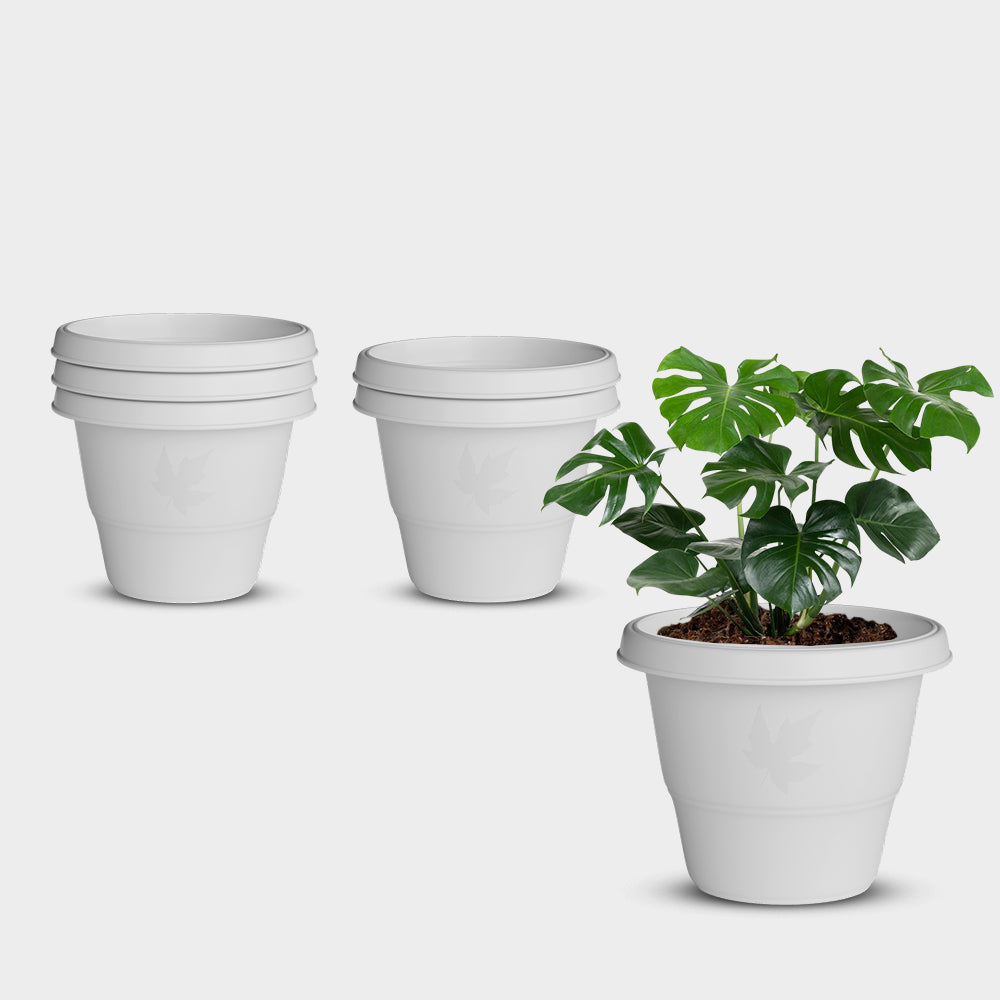 SHERA | RD PLANTER