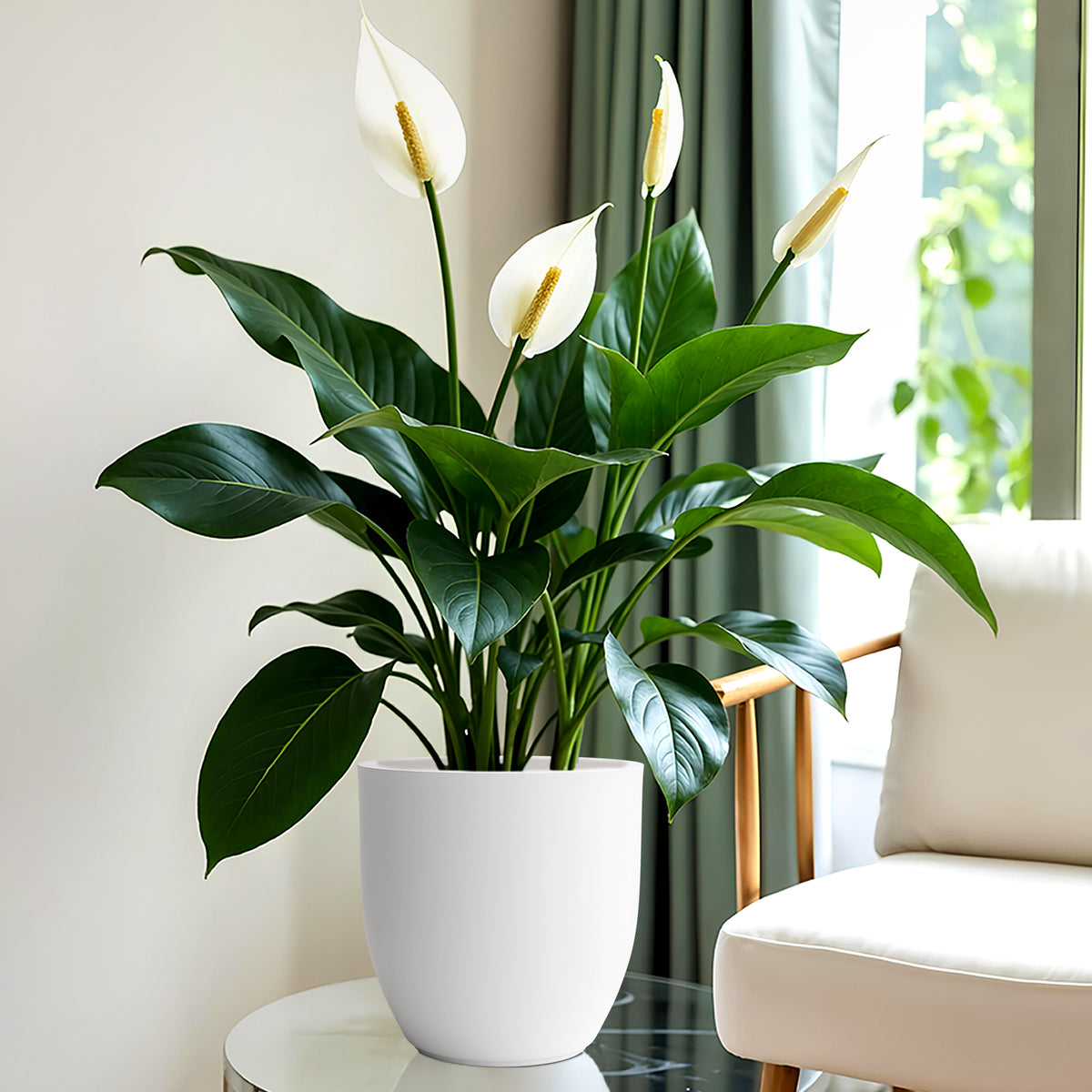 FOX B | P CUP PLANTER 6 INCH TO 15 INCH