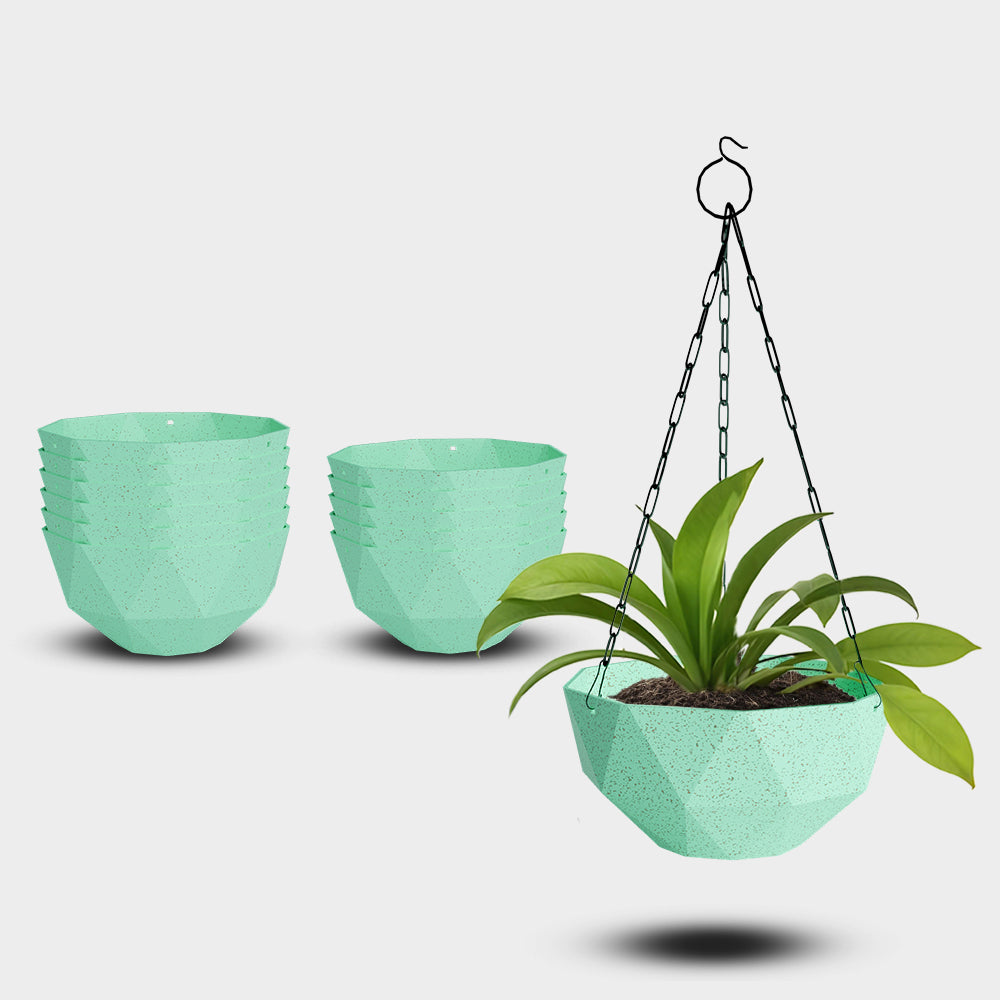 SHERA | DMD KTR BIO HANGING