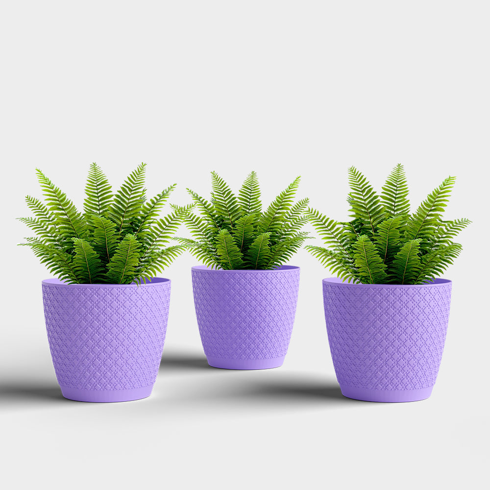 SHERA | CRUZ PLANTER
