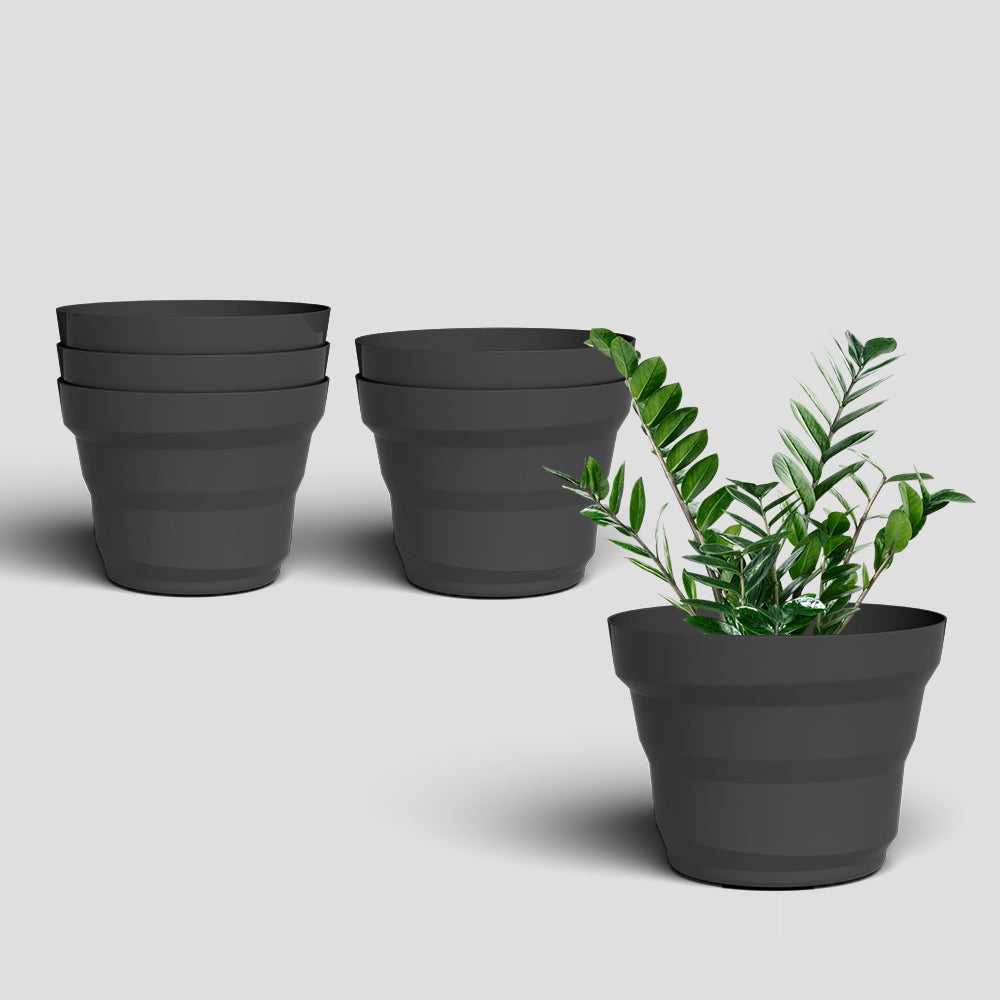 SHERA | RING PLANTER