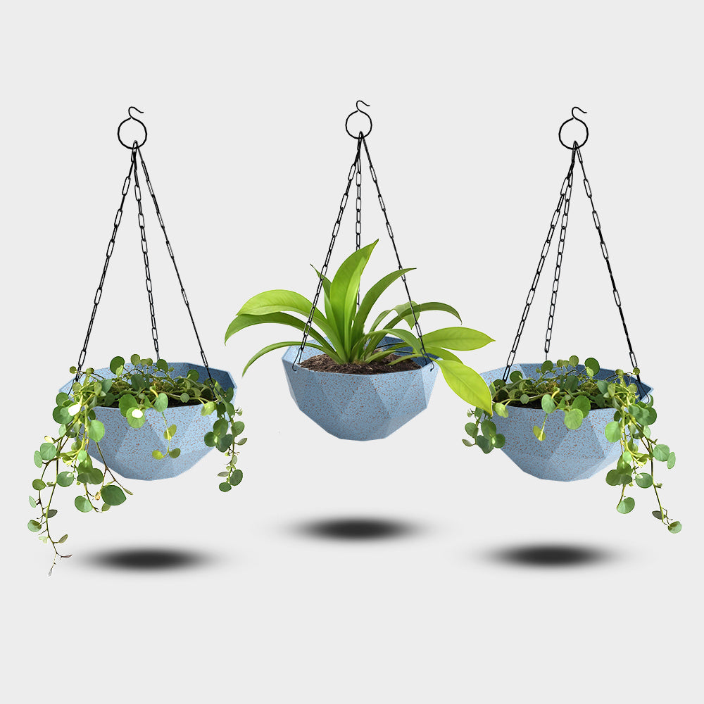 SHERA | DMD KTR BIO HANGING